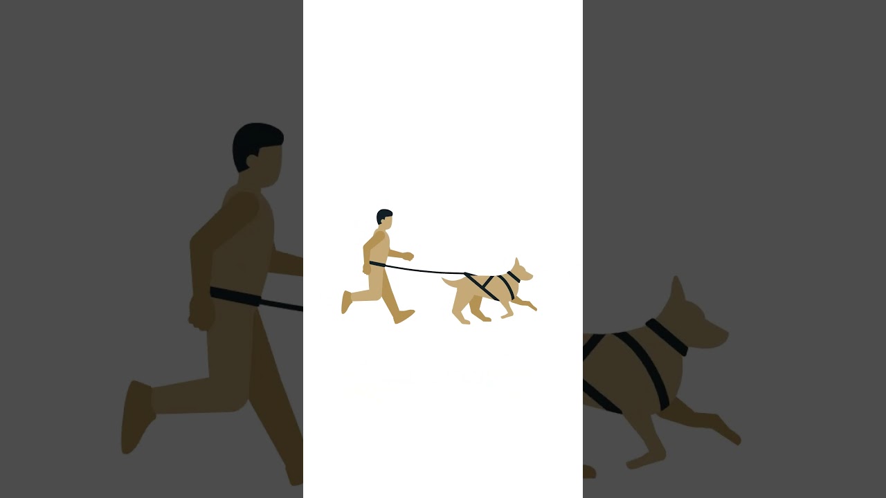 Flexipopruh #4
