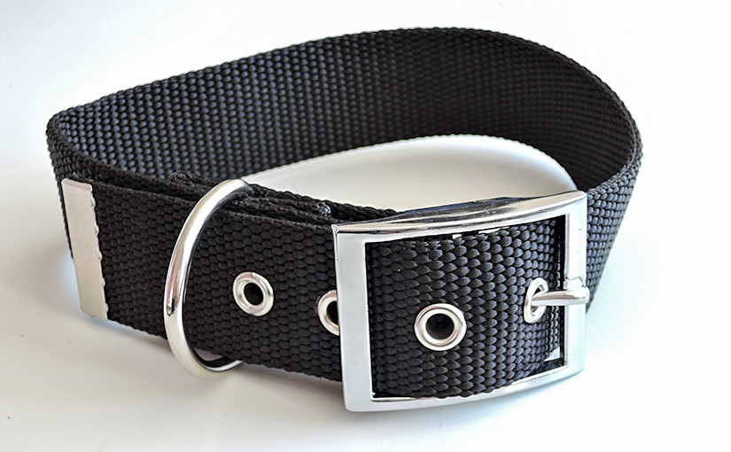 A guide for making dog collars from polypropylene webbing